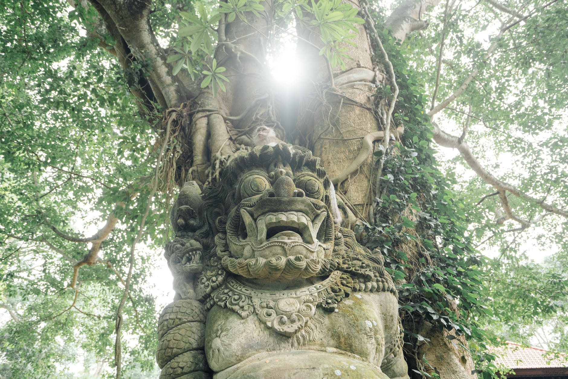 statue of mythical creature in rainforest